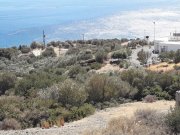 Pefko Baugrundstück mit Meerblick auf Kreta – 4.180m² – investitionsbereit Grundstück kaufen